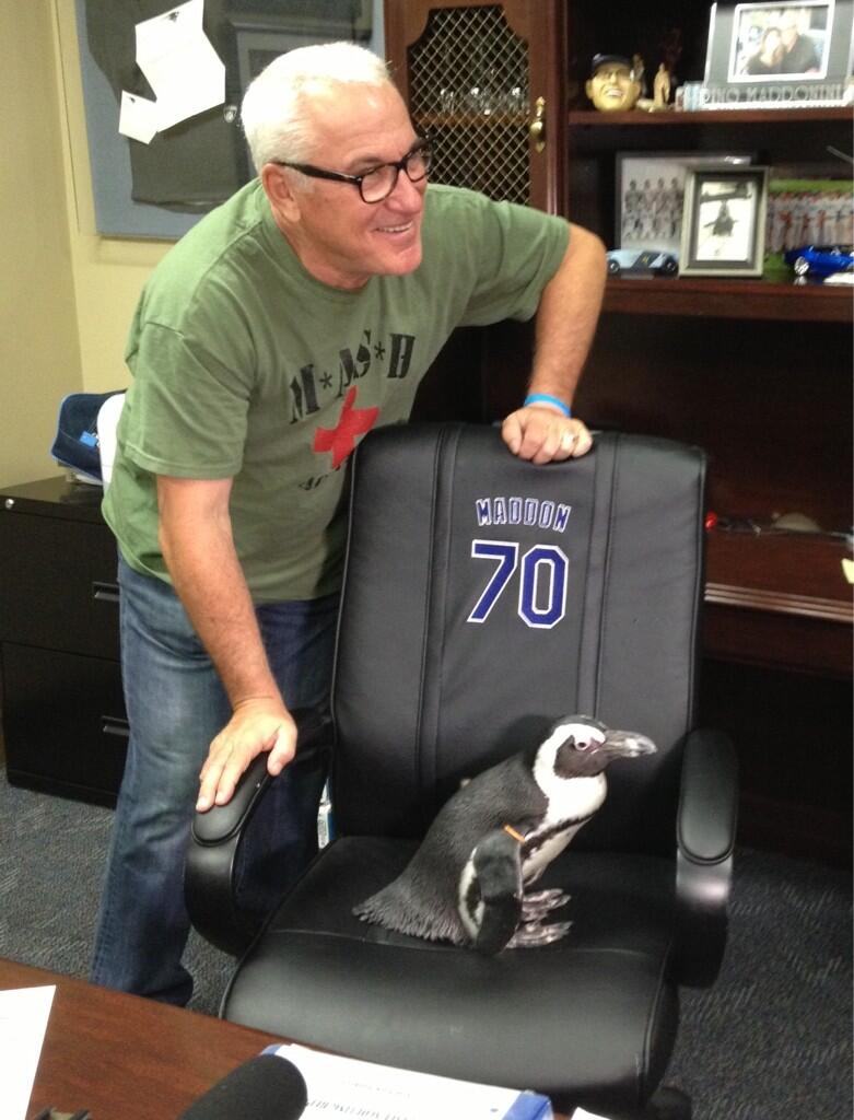 "I wanted the players to chill out a little bit. ...get it?" -Joe Maddon (Photo courtesy of the Tampa Bay Rays)