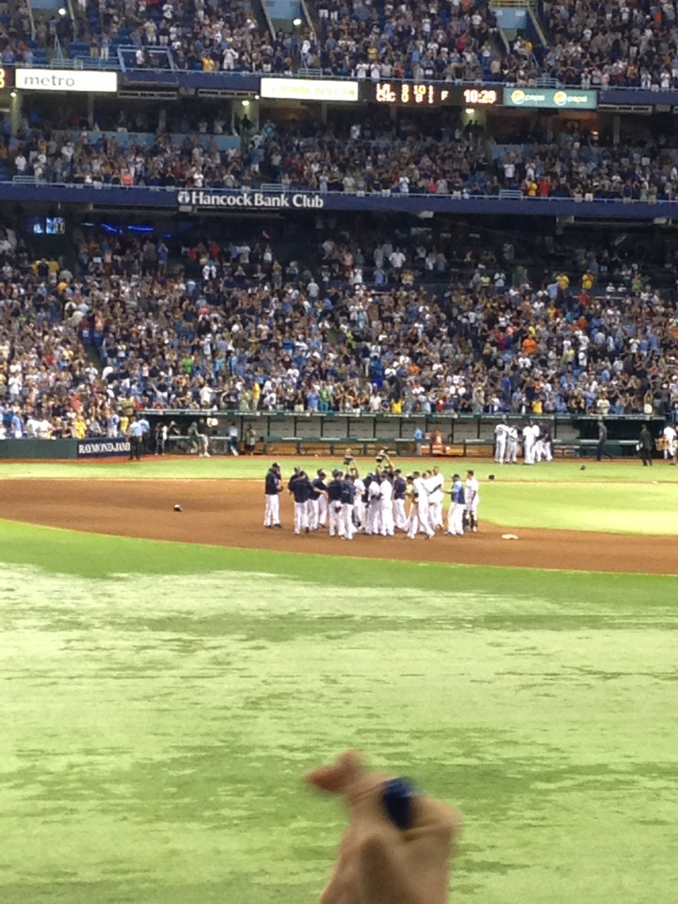 Do the bounce! The Rays mobbed Wil Myers after he hit the game winning single to center.