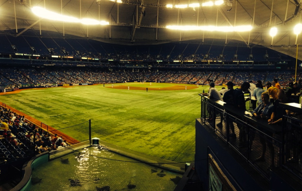 An eighth inning panoramic shot of the Trop, from the friendly confines of The Porch.