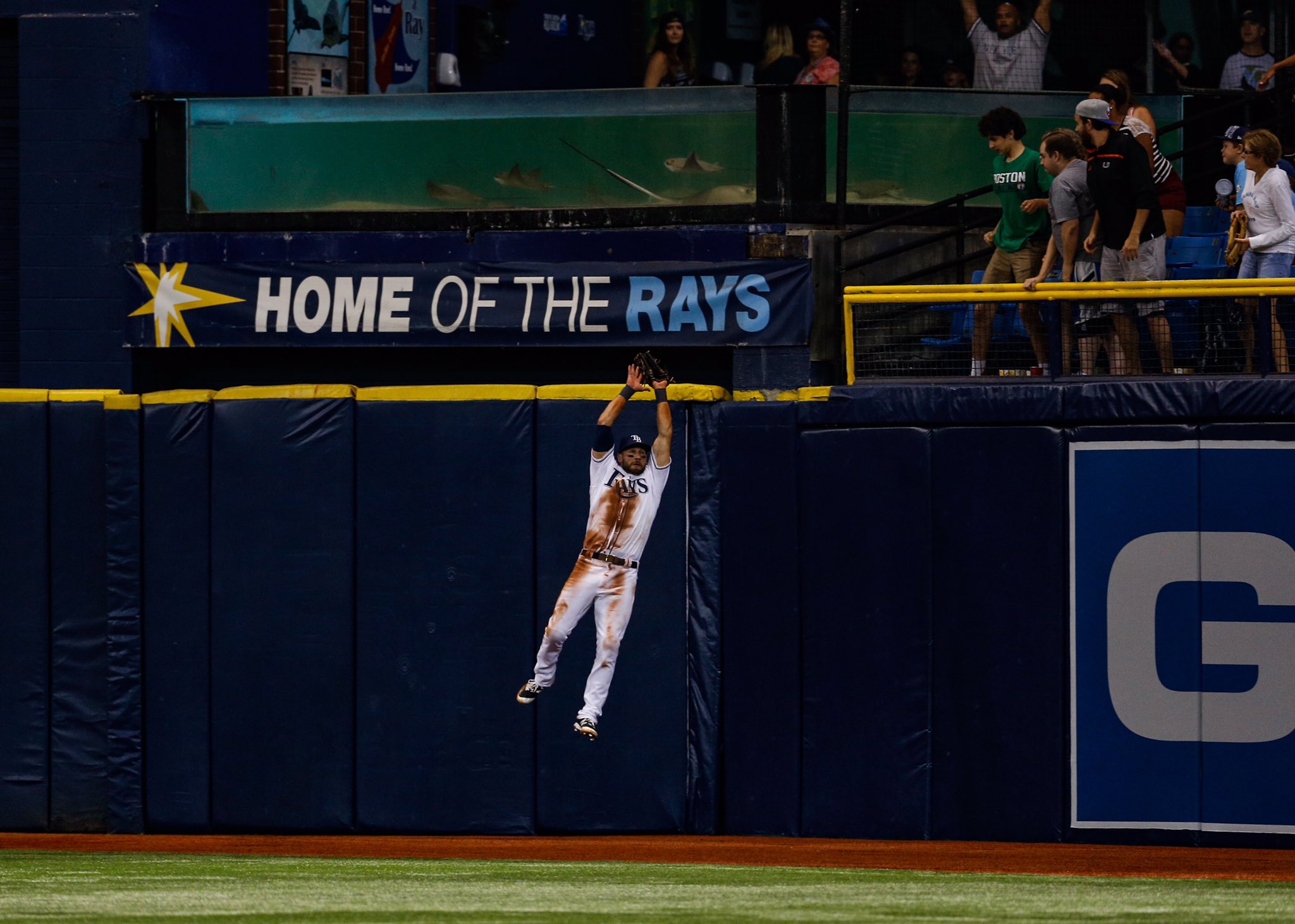 With catches like this gem from last night, it makes you wonder where the Rays would be hadn't Kevin Kiermaier missed two months of the season. (Photo Credit: Tampa Bay Rays)